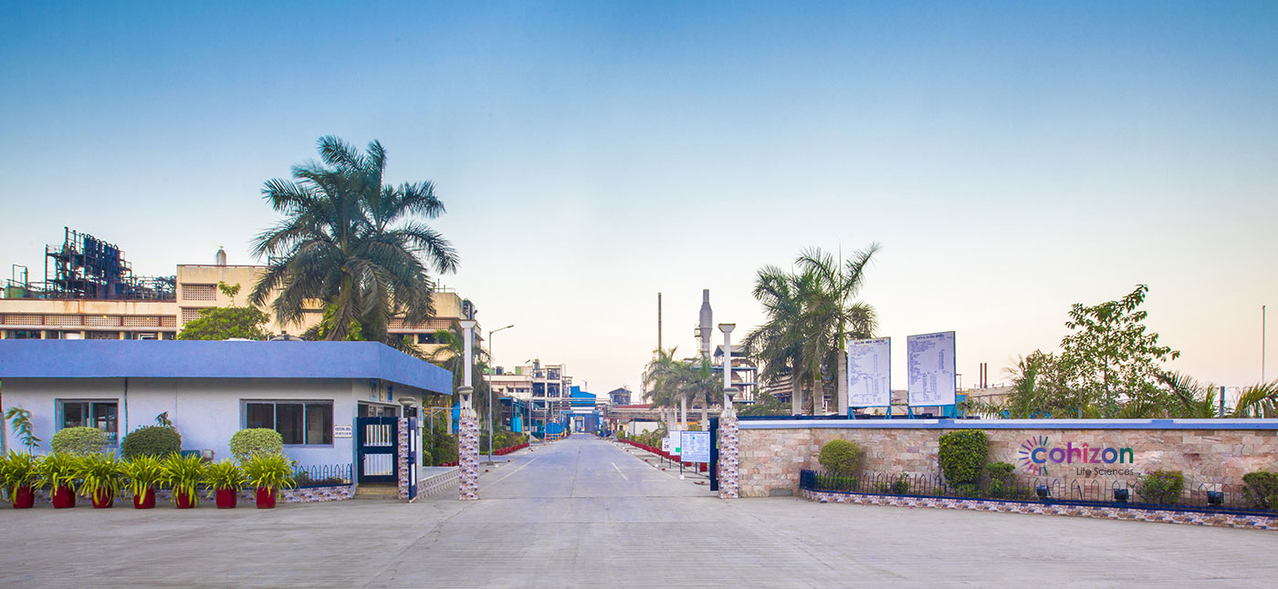 Site 1 at Ankleshwar, Gujarat